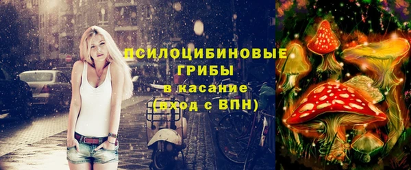 экстази Гусев
